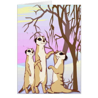 Treffen Sie die meerkats, Familie im Schnee