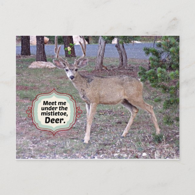 Treffen Sie mich unter dem Mistletoe Postkarte (Vorderseite)