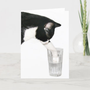 Treffen Sie mich zum Trinken mit Katze Karte