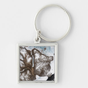 Treibeis zeichnet die Küstenlinie in OstGreenlan Schlüsselanhänger