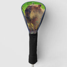 Treiberabdeckung für Animal Capybara