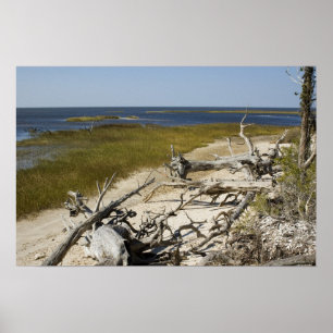 Treibholz am Strand Poster