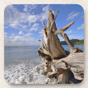 Treibholz auf der Küstenlinie des französischen Untersetzer