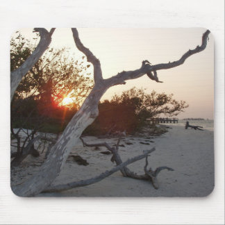 Treibholz auf Strand mit Sonnenuntergang Mousepad