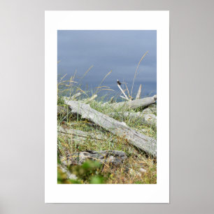 Treibholz Distant Eagle Design von COHOE13 Poster