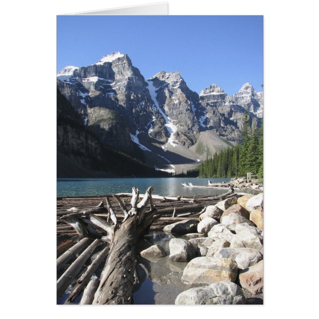 Treibholz, leere Grußkarte (Vorne)