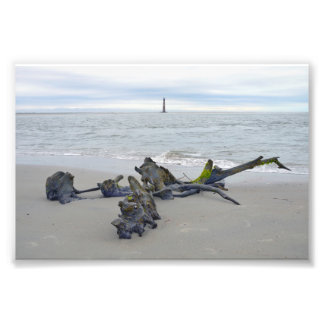 Treibholz, Morris Island Leuchtturm South Carolina Fotodruck