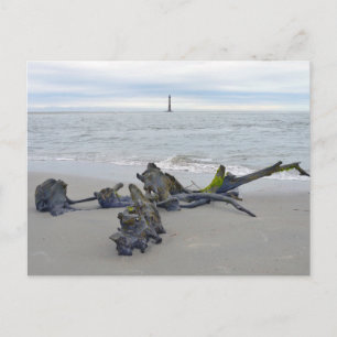 Treibholz, Morris Island Leuchtturm South Carolina Postkarte