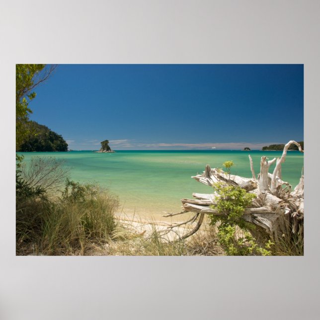 Treibholz Poster (Vorne)