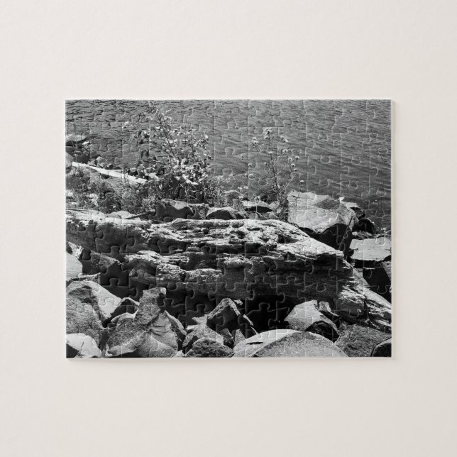 Treibholz Puzzle (Horizontal)