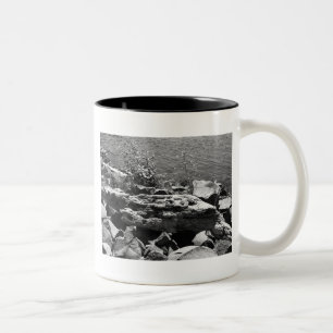 Treibholz Zweifarbige Tasse