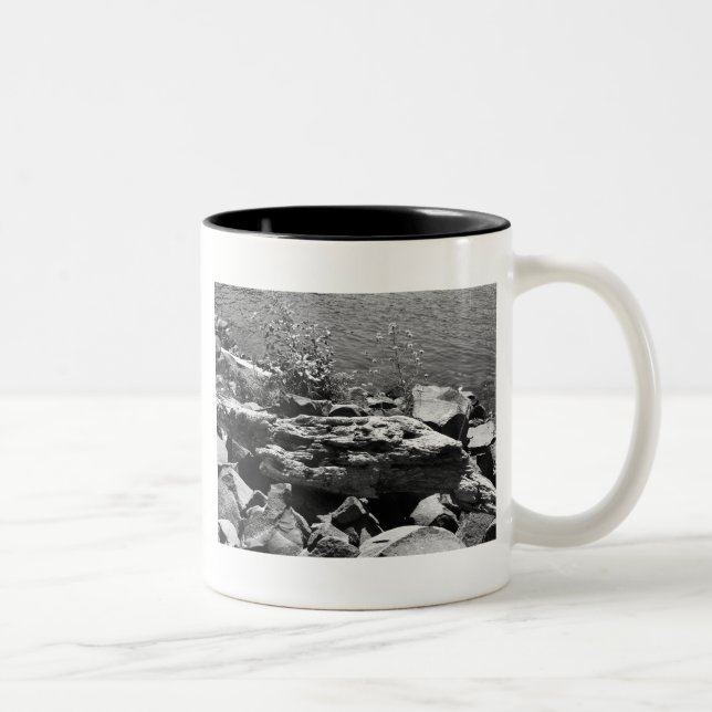 Treibholz Zweifarbige Tasse (Rechts)