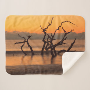 Treibholzstrand bei Sonnenaufgang Jekyll Island Ge Sherpadecke