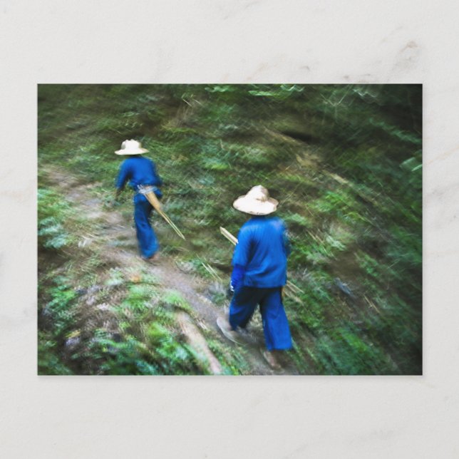 Trekking durch den thailändischen Dschungel Postkarte (Vorderseite)