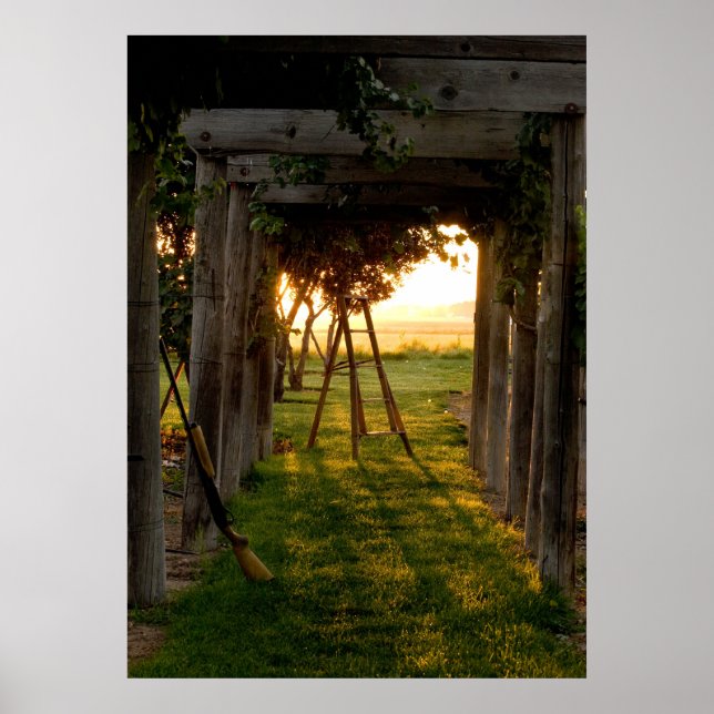 Trellis bei Sunrise Poster (Vorne)