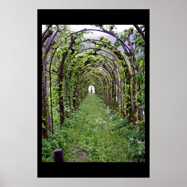 Trellis Tunnel - Deutschland Poster (Vorne)