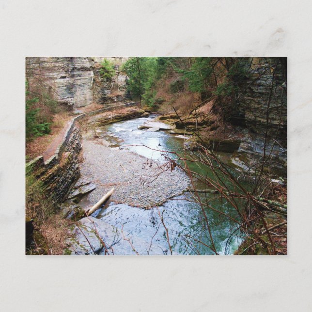 TREMAN STAAT PARK ,ITHACA,N.Y. Postkarte (Vorderseite)