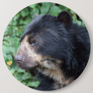 Tremarctos ornatus button