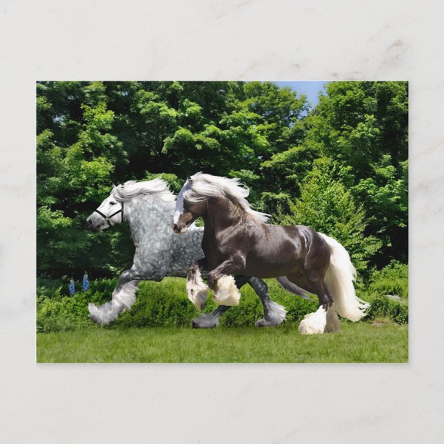 "Tremayne & Caspian" Postkarte (Vorderseite)