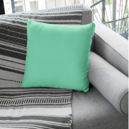 Trend Farbe - Minty Green Throw Kissen