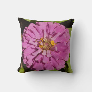 Trend-Kissen mit lila Zinnia Kissen