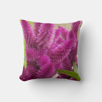 Trend Throw Pillow With Picture Of Celosia Flower Kissen