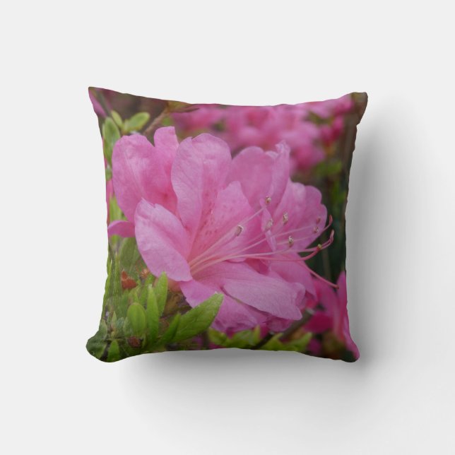 Trend Throw Pillow With Picture Of Rhododendron Kissen (Vorderseite)