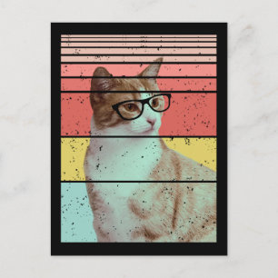 TRENDIG KOMISCH SÜß KATZE VINTAGE POSTKARTE