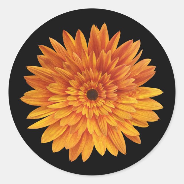 trendige Sonnenblume Runder Aufkleber (Vorderseite)