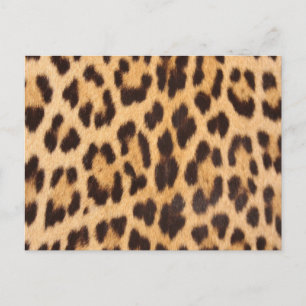 trendiger Mädchen-chic wilder Safari-Leopardenprin Postkarte