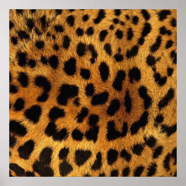 trendiger, schicker Tiermuster brauner Leopardendr Poster (Vorne)