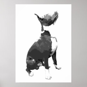 Trendschwarz-weißer Pit Bull Hund Poster