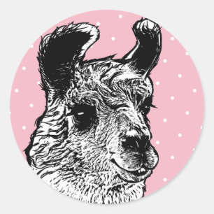 Trendy Black & White Llama White Polka Dots Runder Aufkleber