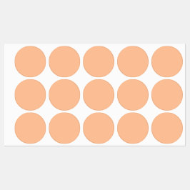 Trendy Color Peach Fuzz Solid Color | elegant Etiketten