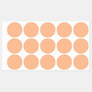Trendy Color Peach Fuzz Solid Color   elegant Etiketten