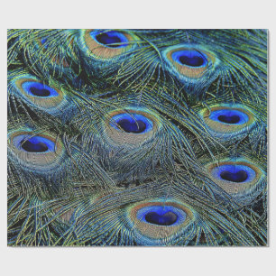 Trendy Colorful Peacock Feathers Geschenkpapier