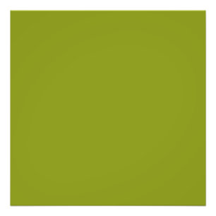 Trendy Green (solide Farbe) Fotodruck