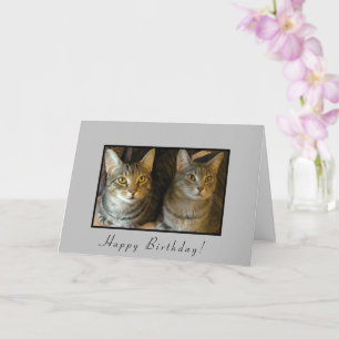 Trendy Happy Birthday Cats Karte