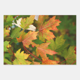 Trendy Herbst Background Set 3 Geschenkpapier Set