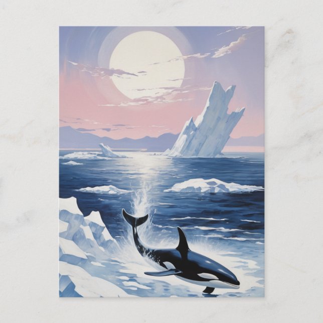 Trendy Killer Whale Orca Alaska Einladungspostkarte (Vorderseite)