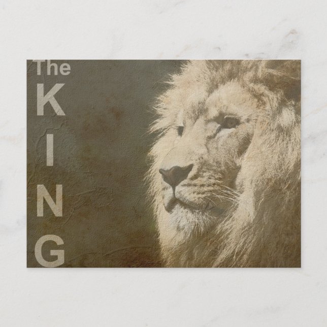 Trendy Lion Head of the King Modern Pop Art Templa Postkarte (Vorderseite)