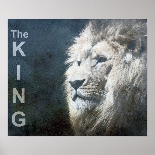 Trendy Lion Template Nature Animal Foto The King Poster (Vorne)