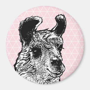 Trendy Llama Illustration & Triangle Magnet