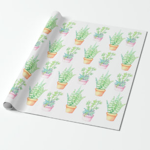 Trendy Niedlich Potted Succulents Illustration Geschenkpapier