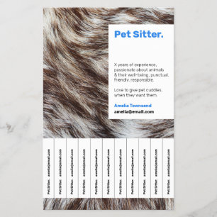 Trendy Sitzservice für Haustiere und modernes Foto Flyer