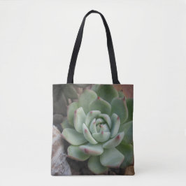 Trendy Succulent
