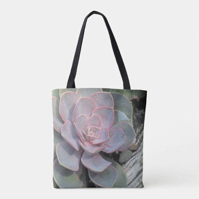 Trendy Succulent (Rückseite)
