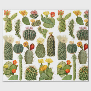 Trendy Vintag Cactus Pattern Geschenkpapier