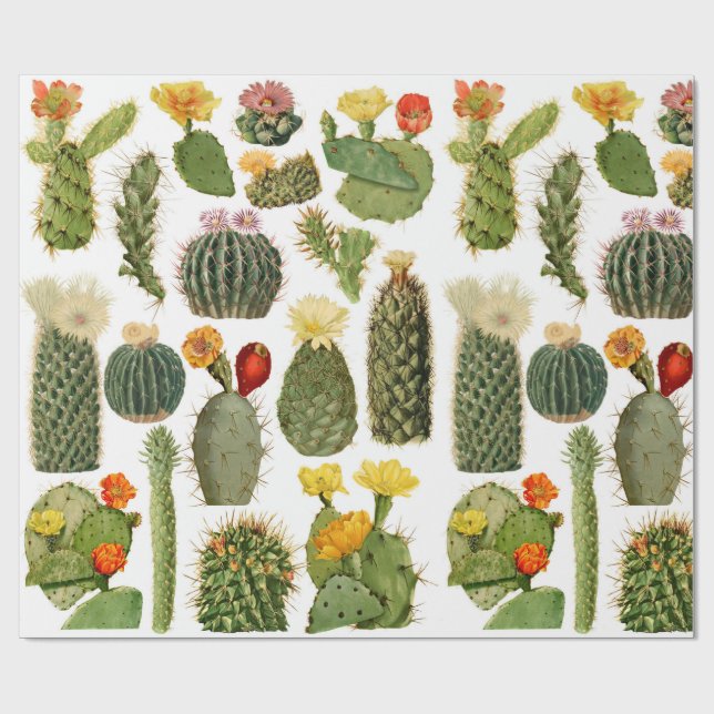 Trendy Vintag Cactus Pattern Geschenkpapier (Flach)