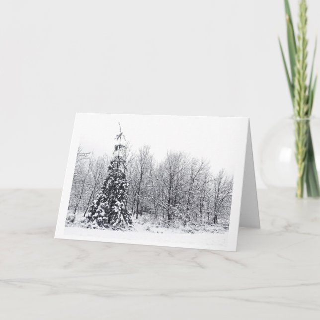 Trennung mit Sicherheit Feiertagskarte (Vorderseite)